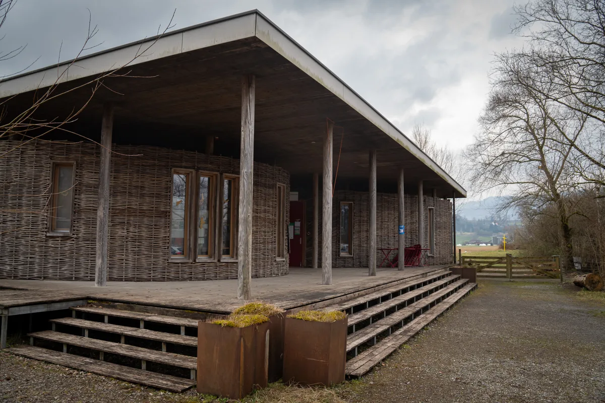 Die Silberweide feiert ihr 20-Jahr-Jubiläum mit einer speziellen Ausstellung ab 22. März. 